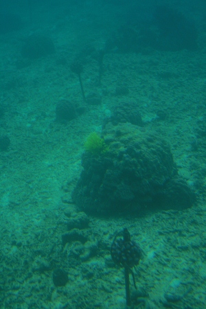 f0097620_1141376.jpg