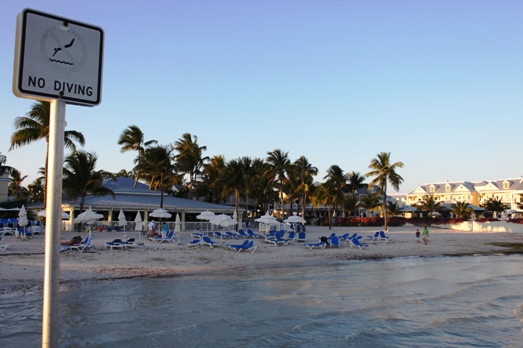 f0151222_13444881.jpg