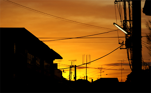 c0147123_2056514.jpg