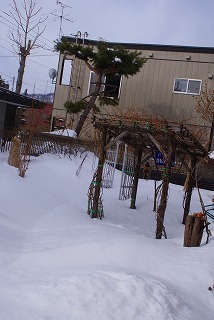 f0170524_92511.jpg