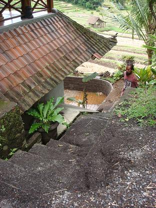 ヴィラ・べべッ・ビル/リハット・サワ2 ベースメント Viilla Bebek Biru/Lihat Sawah 2 Bs_a0120328_11262236.jpg