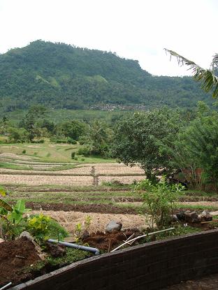 ヴィラ・べべッ・ビル/リハット・サワ2 ベースメント Viilla Bebek Biru/Lihat Sawah 2 Bs_a0120328_11323760.jpg
