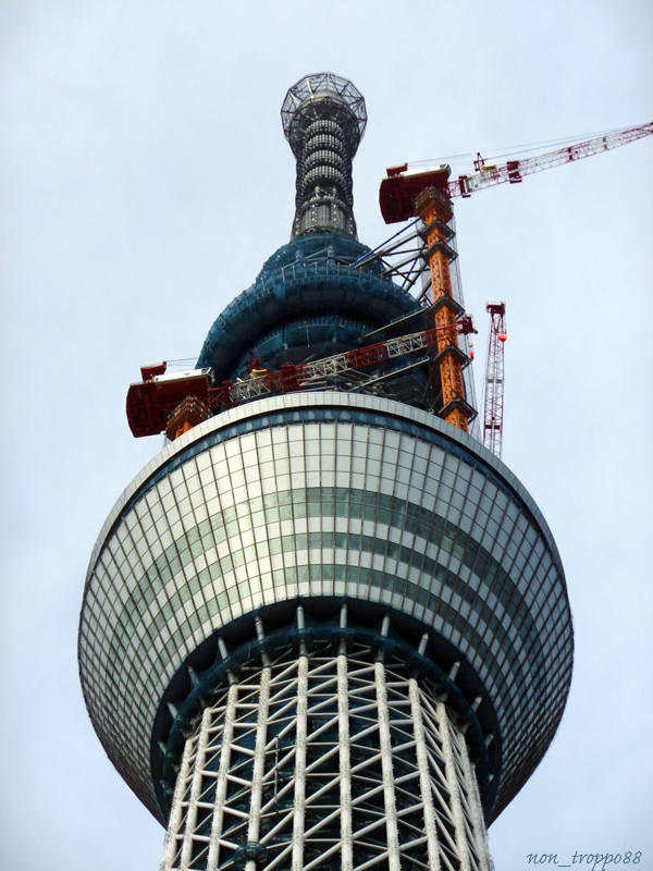 d0086329_1656465.jpg