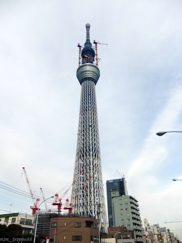 d0086329_17152655.jpg