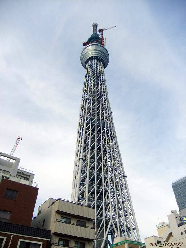 d0086329_17161065.jpg