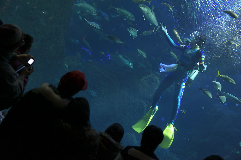 新江ノ島水族館　前編_c0211639_22395642.jpg