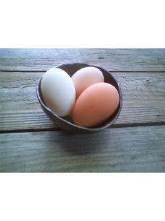 卵が三個_d0010039_11371257.jpg