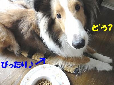 カフェマット・こうして大成功♪_e0195743_11466100.jpg