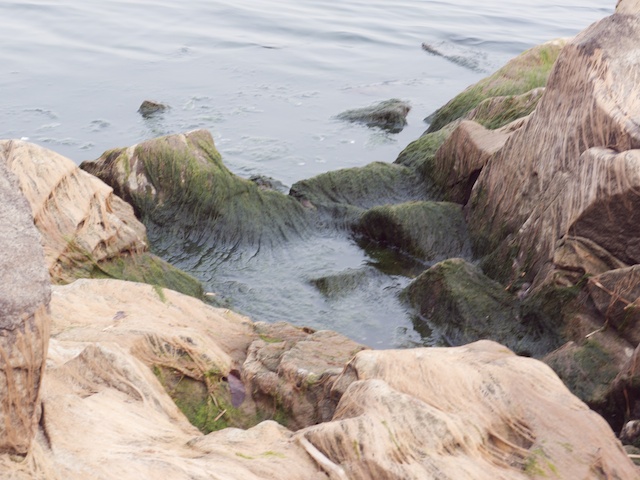 d0081650_23264764.jpg