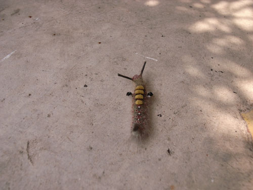 f0085850_0283250.jpg