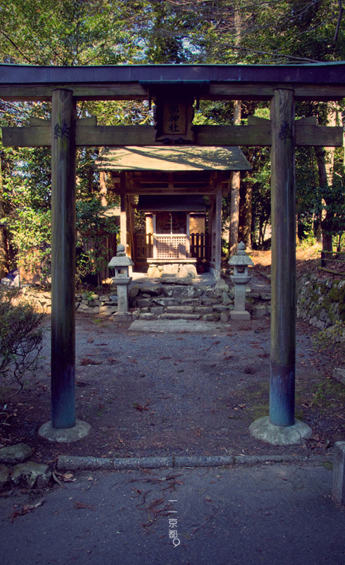 e0198253_14595576.jpg