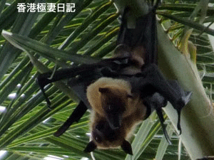 f0190653_1471479.gif