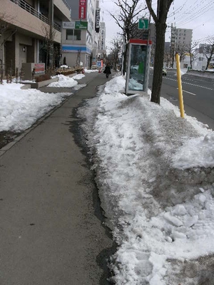 散歩道～～～まだ風が冷たい！_d0145759_17281491.jpg