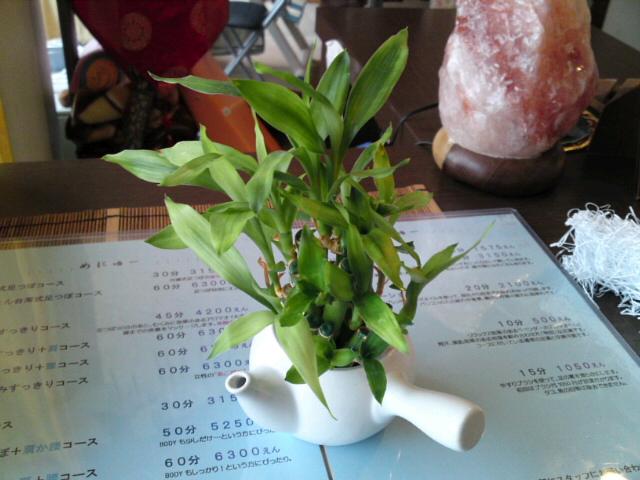 c0151762_1333123.jpg