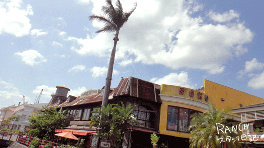 d0181266_19472254.gif