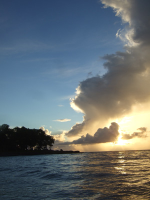 PALAU TOUR<前半KOROR編> PALAU・KOROR_e0184067_19141632.jpg