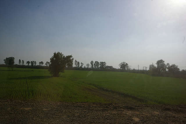インド滞在記2011 その3: India 2011 Part3_a0186568_2285050.jpg