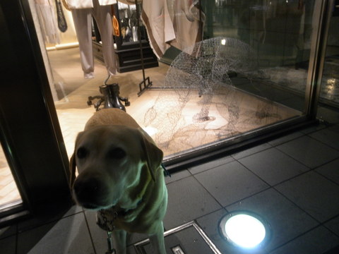 f0052277_0401163.jpg