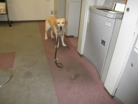 f0052277_0404858.jpg