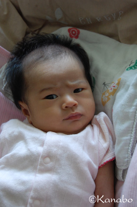a0168980_20152965.jpg