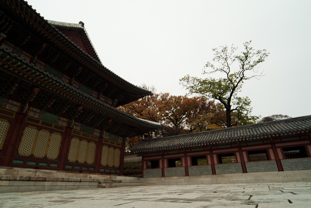 c0180881_1541163.jpg