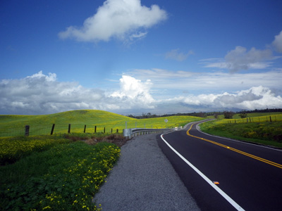f0220791_199521.jpg