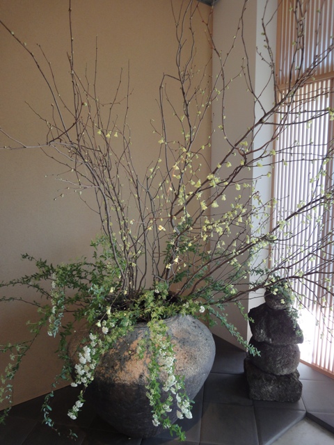 今日のお花_d0208992_17124336.jpg