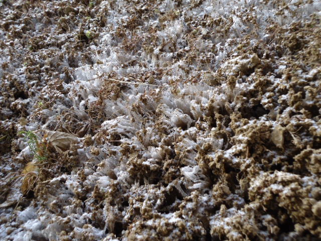 c0099395_13191176.jpg
