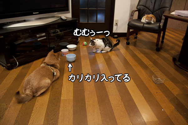 b0141397_10351171.jpg