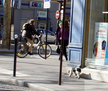 c0090198_446740.jpg