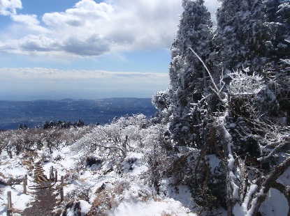 塔ノ岳 雪中登山_e0077899_6424540.jpg
