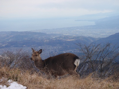 塔ノ岳 雪中登山_e0077899_6455911.jpg