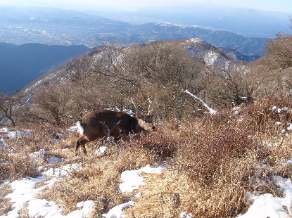 塔ノ岳 雪中登山_e0077899_6481017.jpg