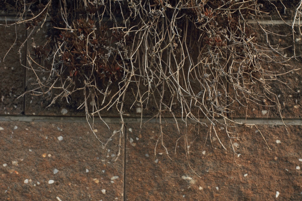 b0138101_23115672.jpg