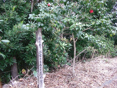 c0125501_2024729.jpg