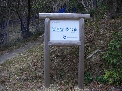 c0125501_20284329.jpg