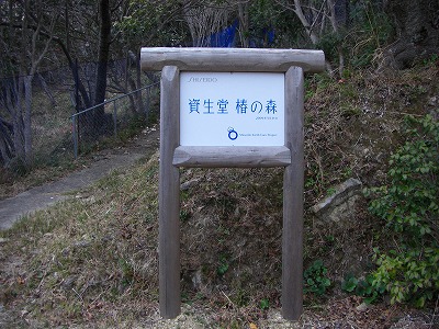 椿山公園へ・・・_c0125501_20284329.jpg