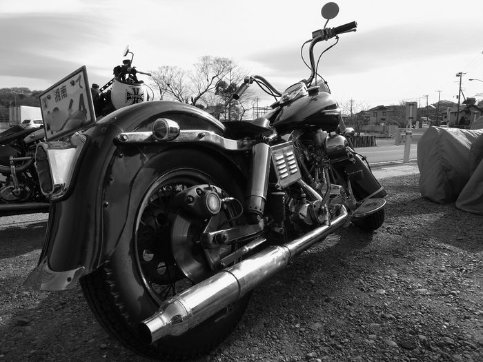 SHOVELHEAD_a0186803_19394644.jpg