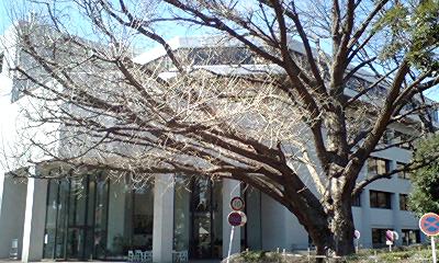 東京都中央図書館_d0054704_044987.jpg