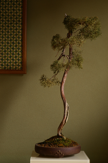 e0121605_21481923.jpg