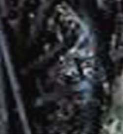 e0103408_2125774.jpg
