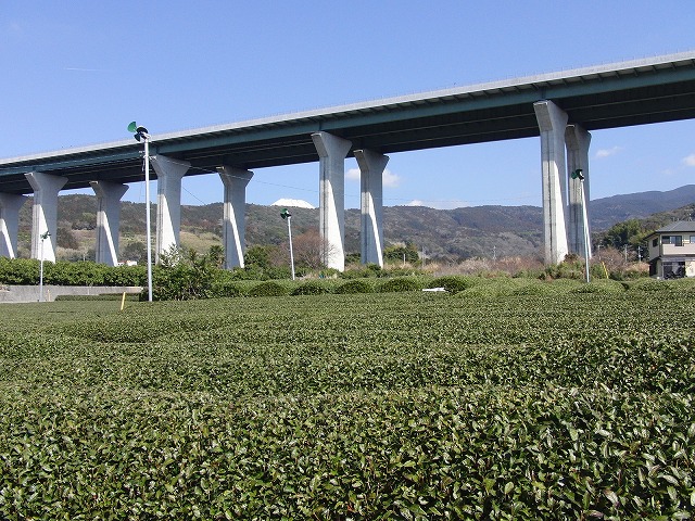 須津地区の風景_f0141310_7414410.jpg