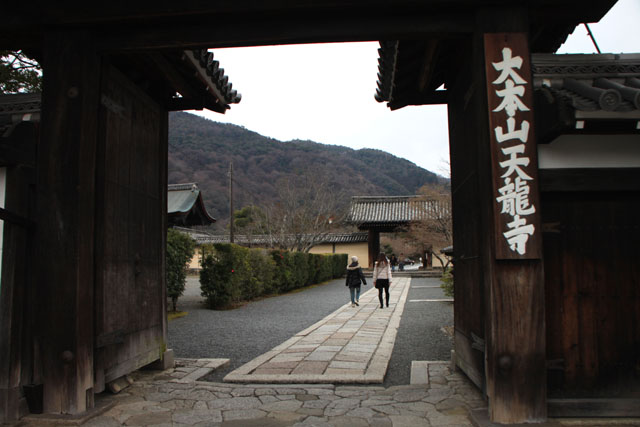 天龍寺 椿落花_e0048413_2223444.jpg