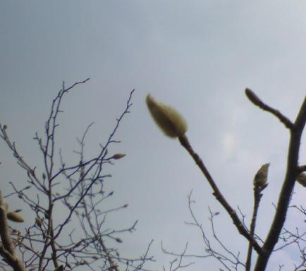 c0097620_2325487.jpg