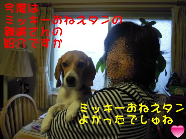 c0166622_8391144.jpg