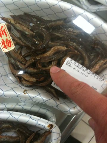 ふるせ _b0054727_205567.jpg