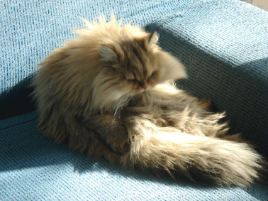 e0157129_19313233.gif