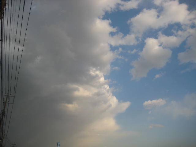 e0166032_204129.jpg