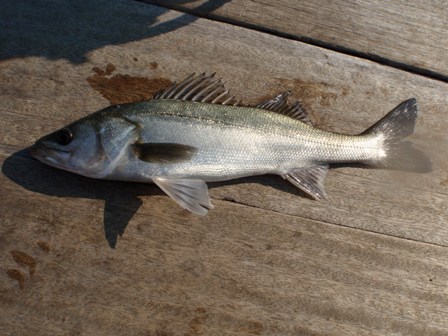 f0201436_16454381.jpg