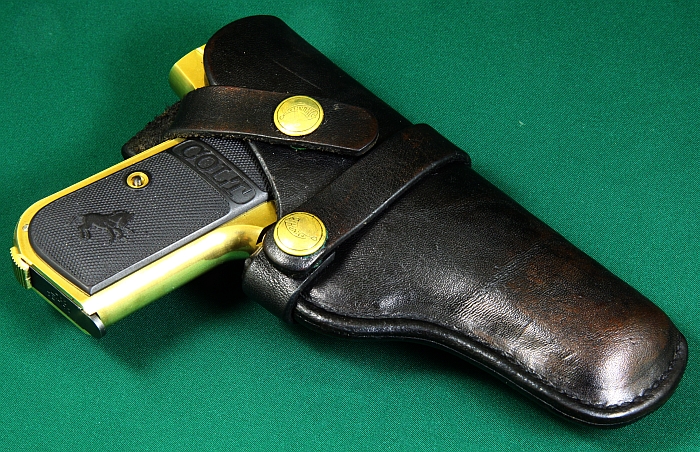 Holster #1_e0162444_038754.jpg